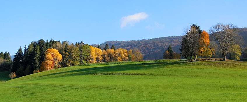 Chasse-a-Court-de-photos-27.10.2016-024.jpg