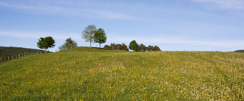 Court_ABA_2862_847x350.jpg