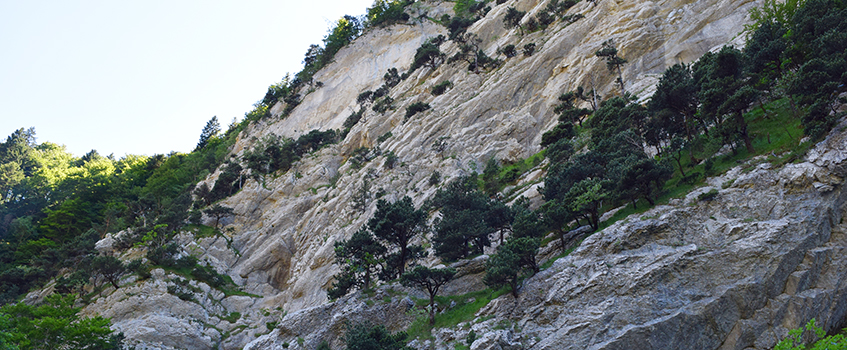 Gorges-de-Court-30.06.2015-022.jpg