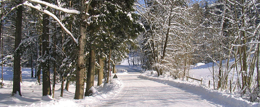 court_Janvier-2004-003_847x350.jpg